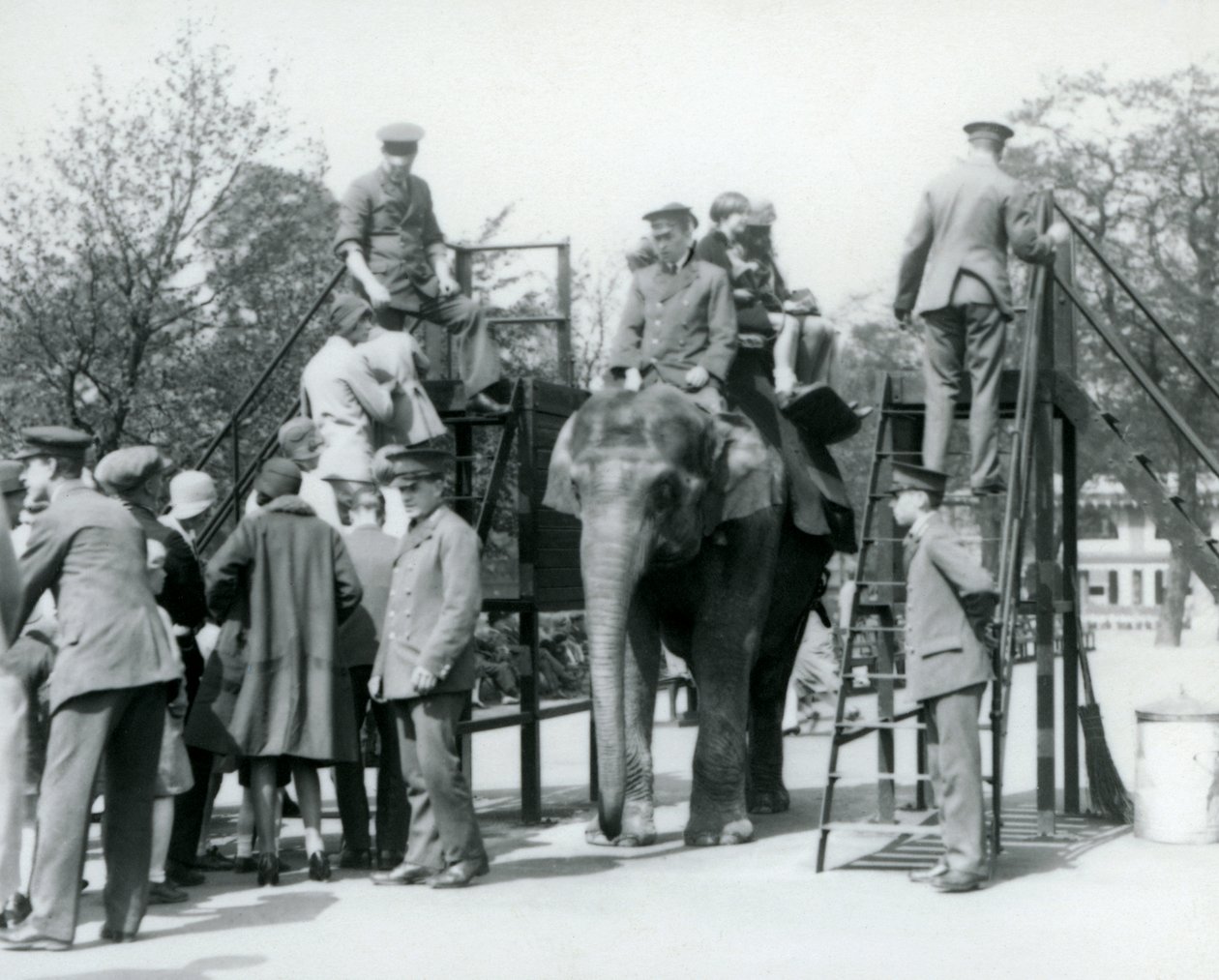 Visitantes haciendo fila para un paseo en elefante mientras otros embarcan, con la ayuda de cinco cuidadores, Zoológico de Londres, 1927 de Frederick William Bond