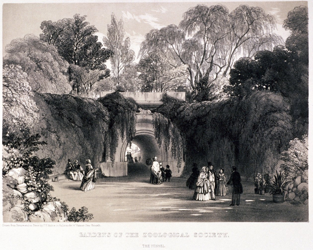 Jardines Zoológicos, Regent