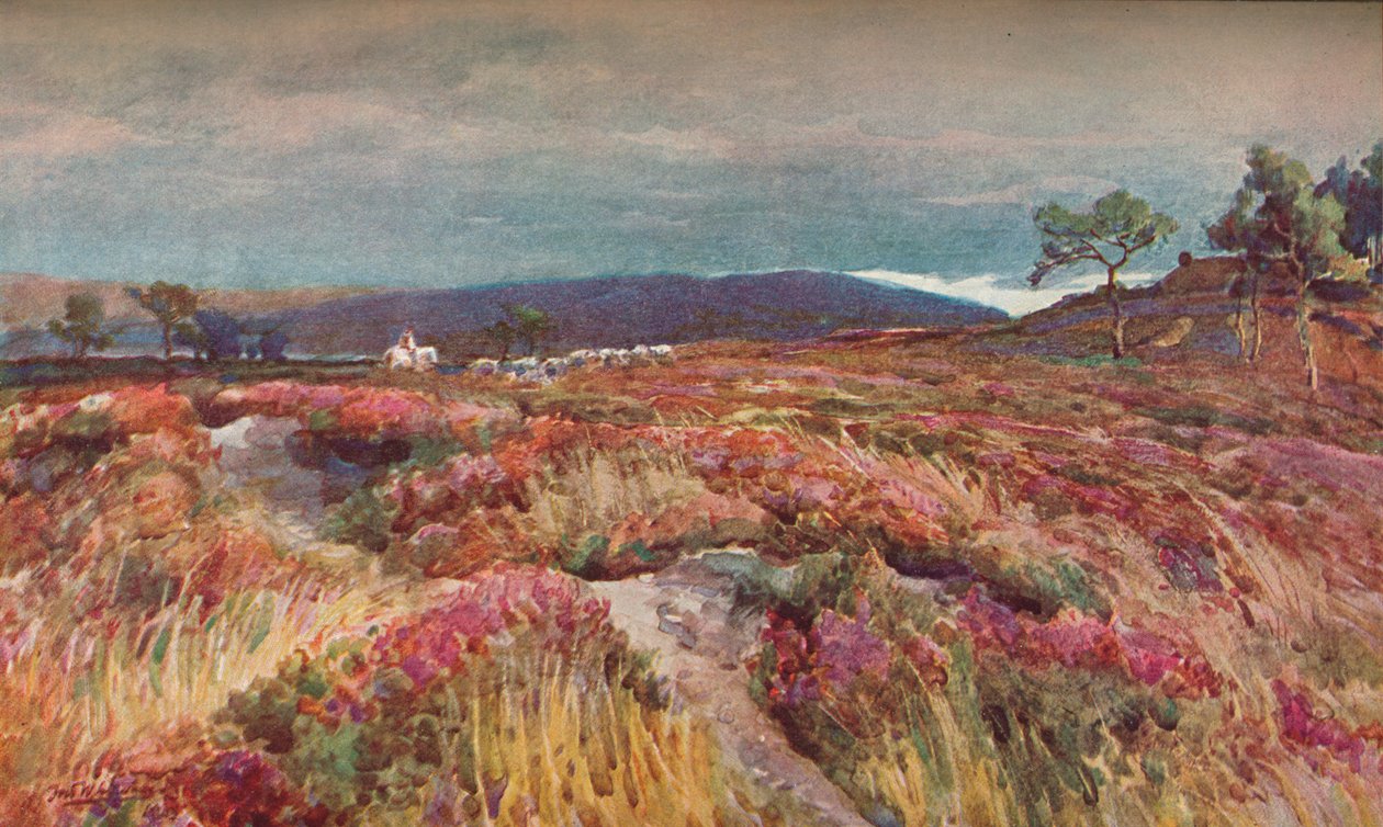 En el páramo Lytchett Minster, c. 1904 de Frederick William Newton Whitehead