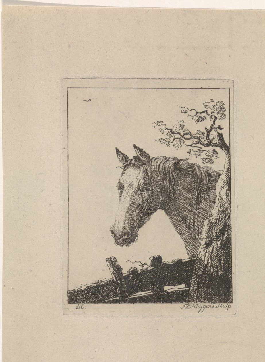 cabeza de un caballo de Frederik Lodewijk Huygens