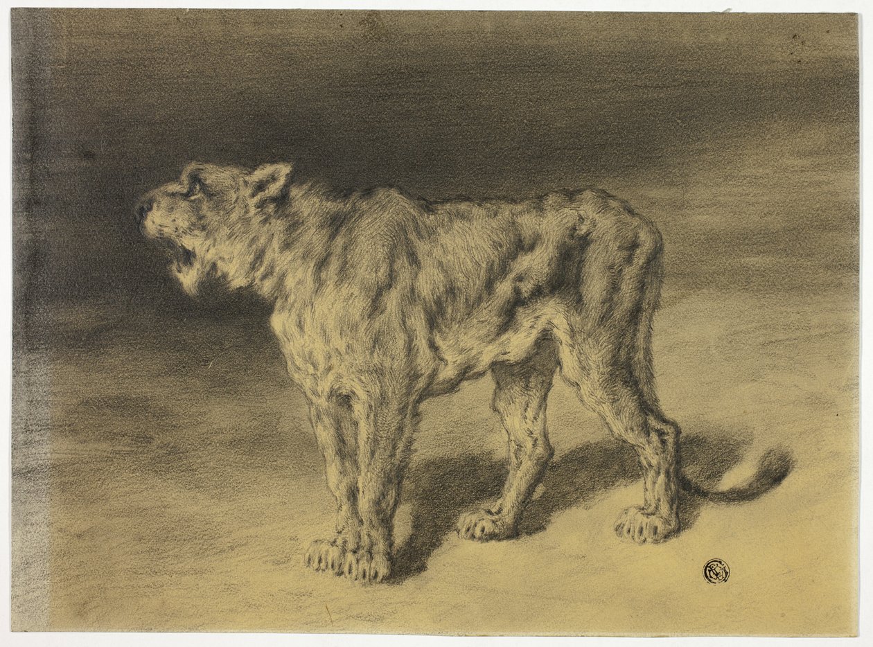 Rugido de leona de Frederik William Zurcher