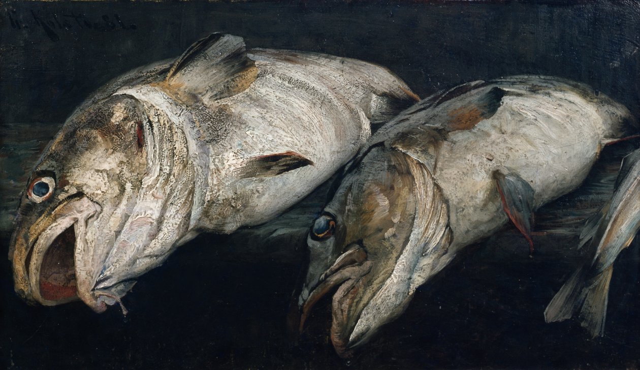 Bacalao de Fredrik Kolstoe