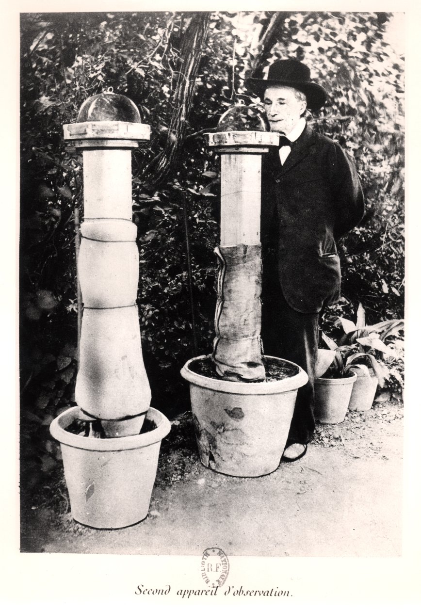 Jean-Henri Fabre (1823-1915) de Souvenirs Entomologiques, publicado en 1924 de French Photographer