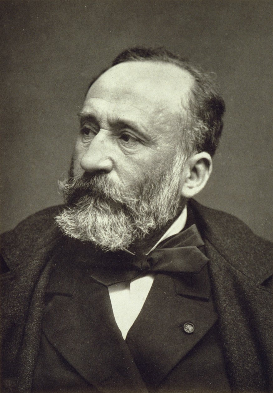 Pierre Cecile Puvis de Chavannes (1824-98), de Galerie Contemporaine, c.1874-78 de French Photographer