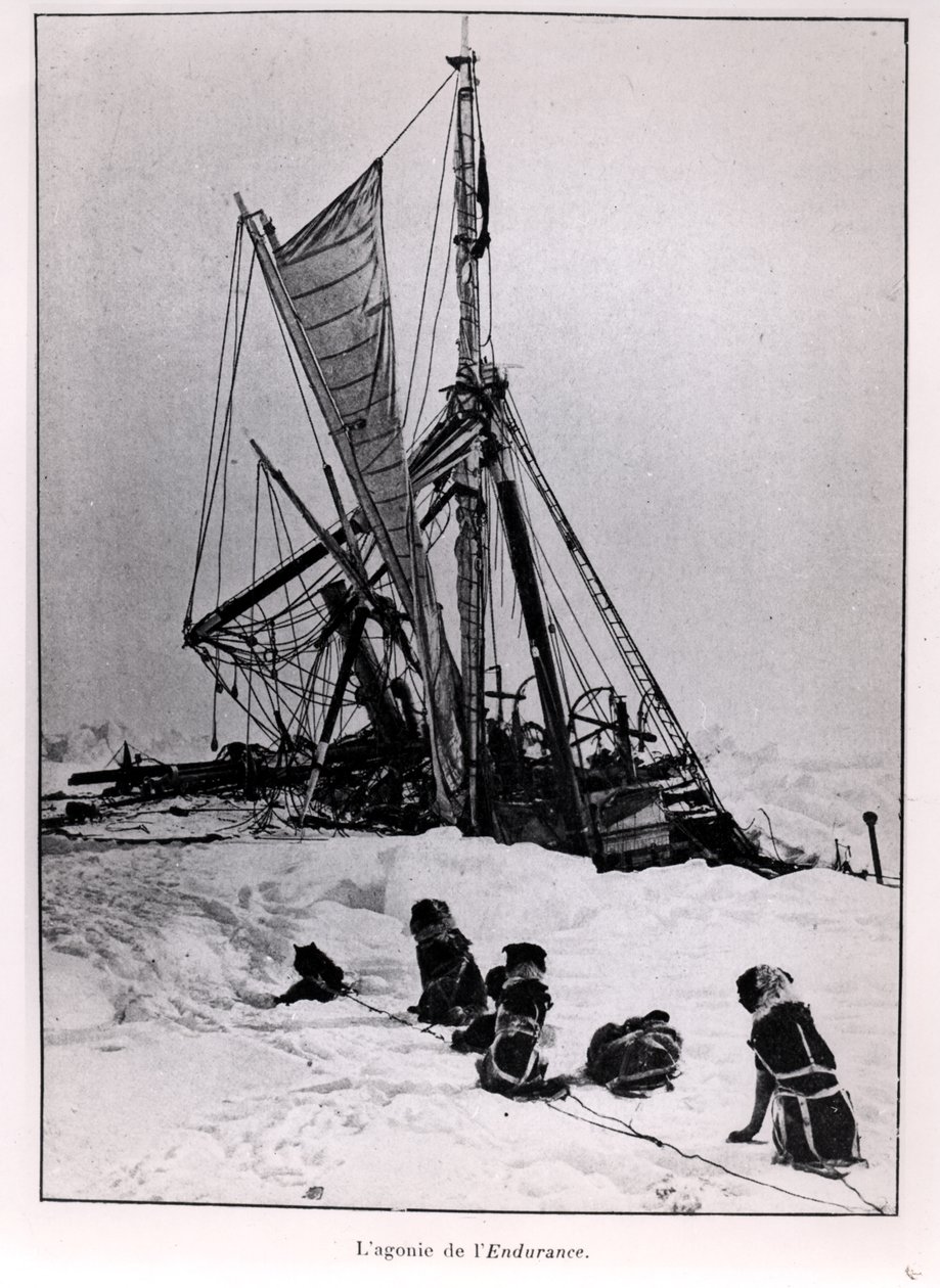 La Agonía del Endurance, de la Expedición al Polo Sur de Ernest Shackleton (1874-1922) 1914-1917 de French Photographer