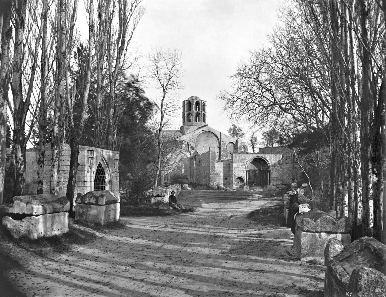 Paseo de Les Alyscamps de French Photographer