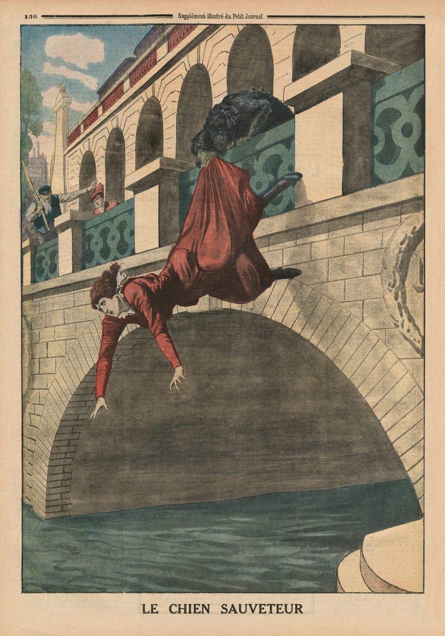 Un perro rescatador, ilustración de portada de 