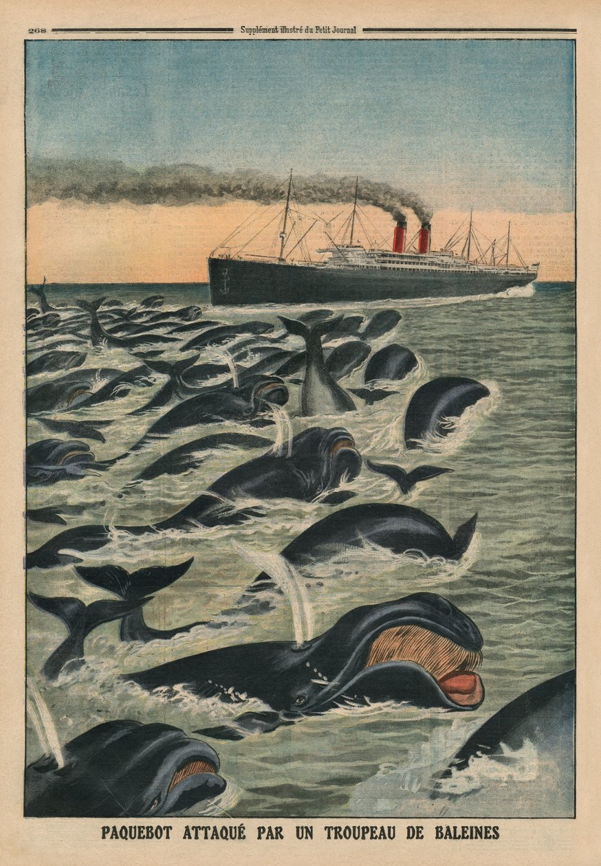 Un banco de ballenas atacando un transatlántico, ilustración de la contraportada de 