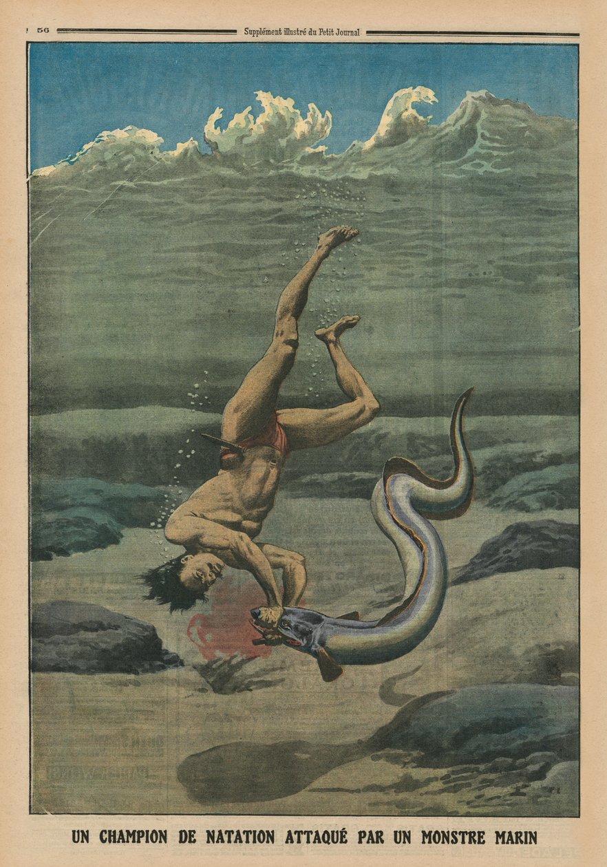 Un campeón de natación atacado por un monstruo marino, ilustración de la contraportada de 