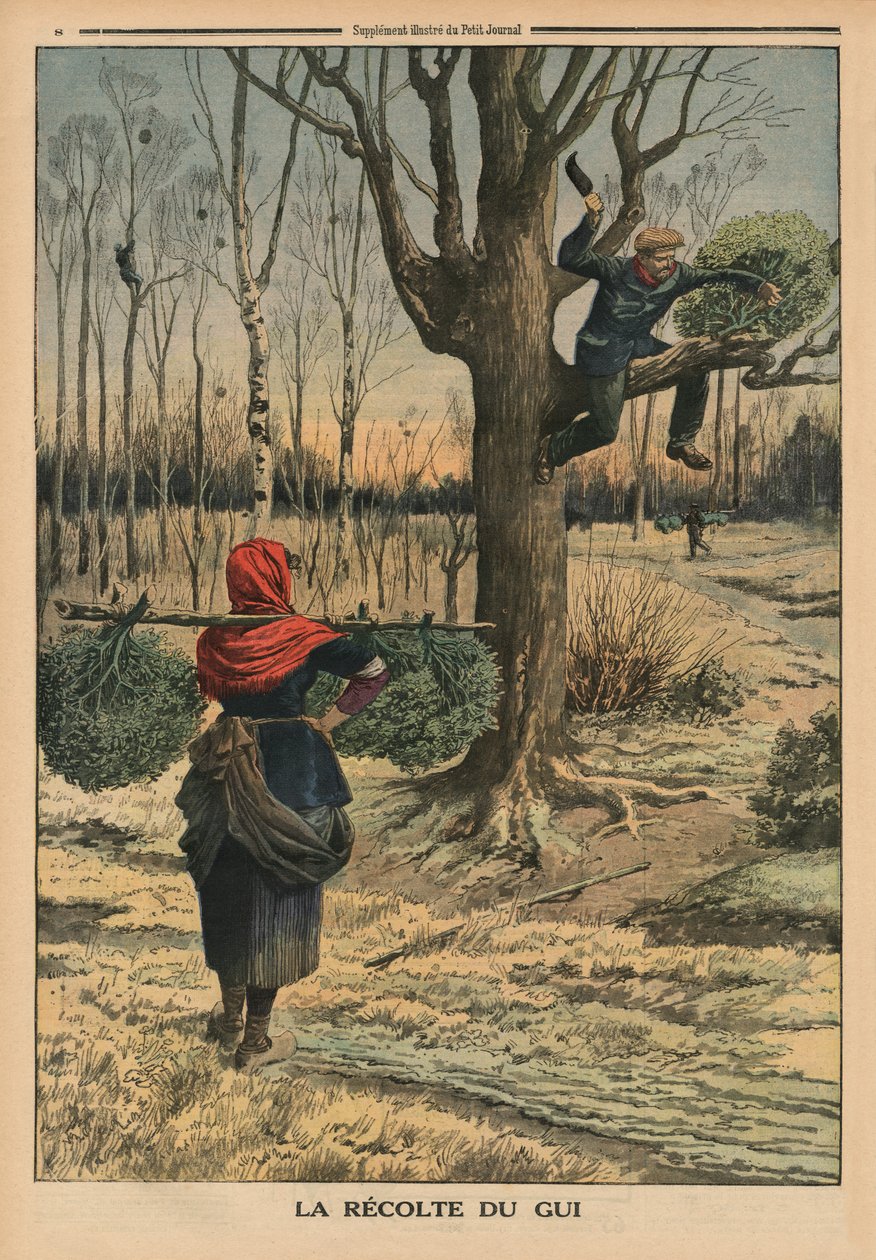Cortando el muérdago, ilustración de la contraportada de 