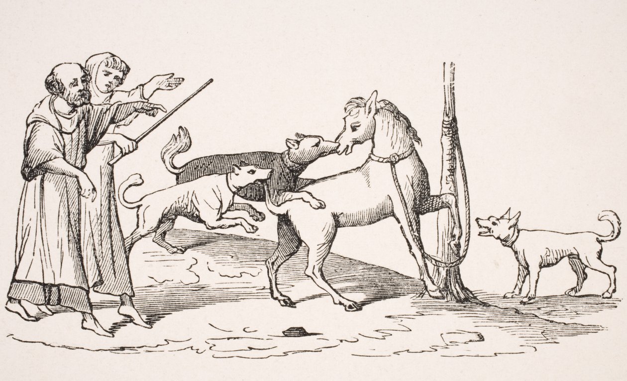 Lucha entre caballo y perros, reproducción de miniatura en un manuscrito del siglo XIII, de 