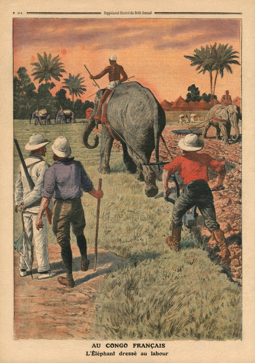 En el Congo Francés, elefante entrenado para arar, ilustración de 