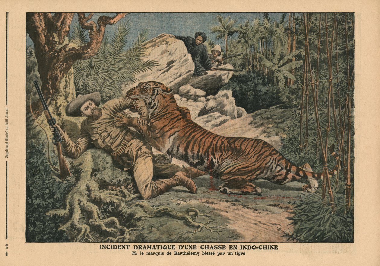 Marqués de Barthelemy herido por un tigre, ilustración de 