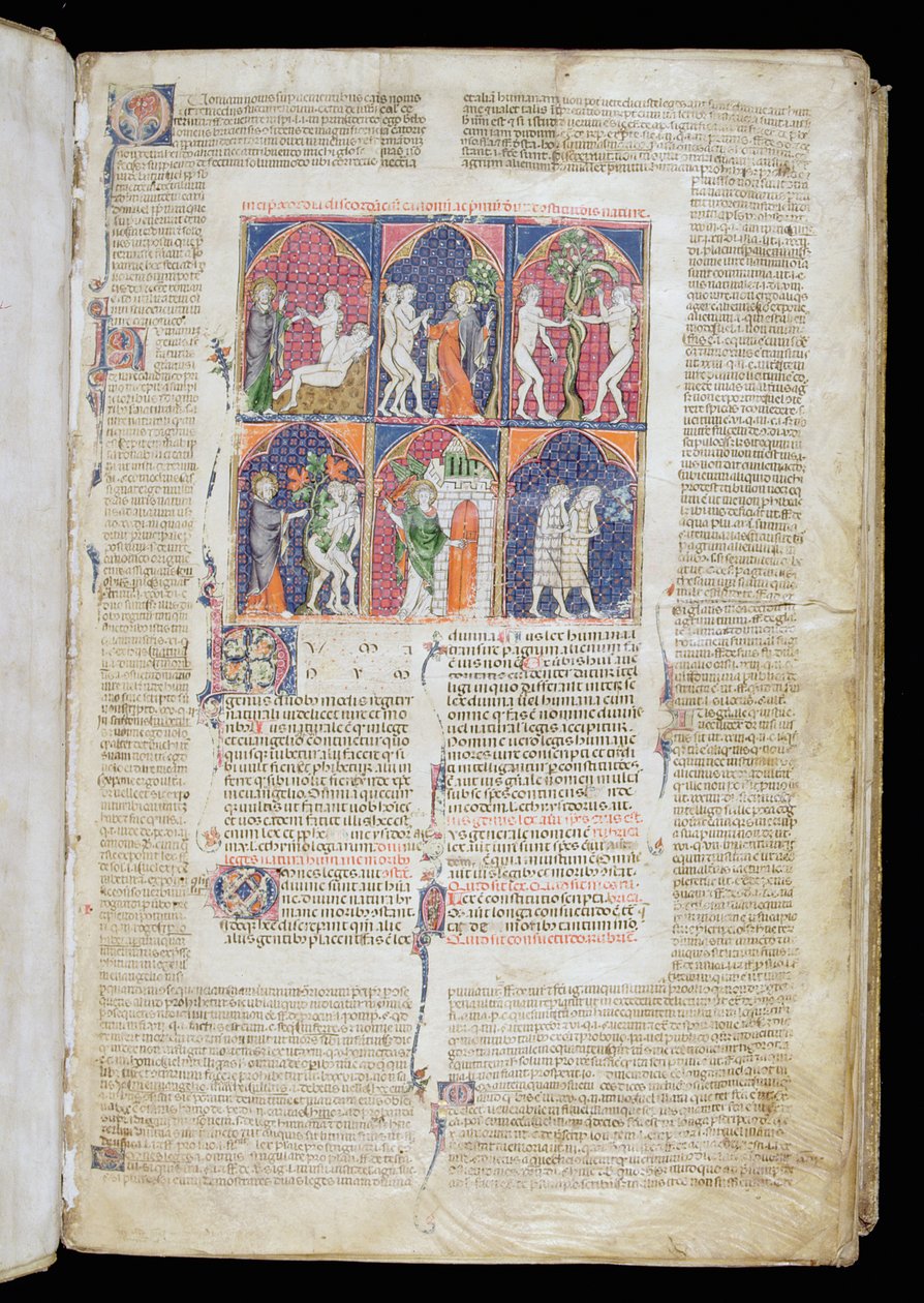 Ms. 262, f.1r: Seis escenas de la Creación y la Caída del Decretum de Graciano, c.1300 de French School
