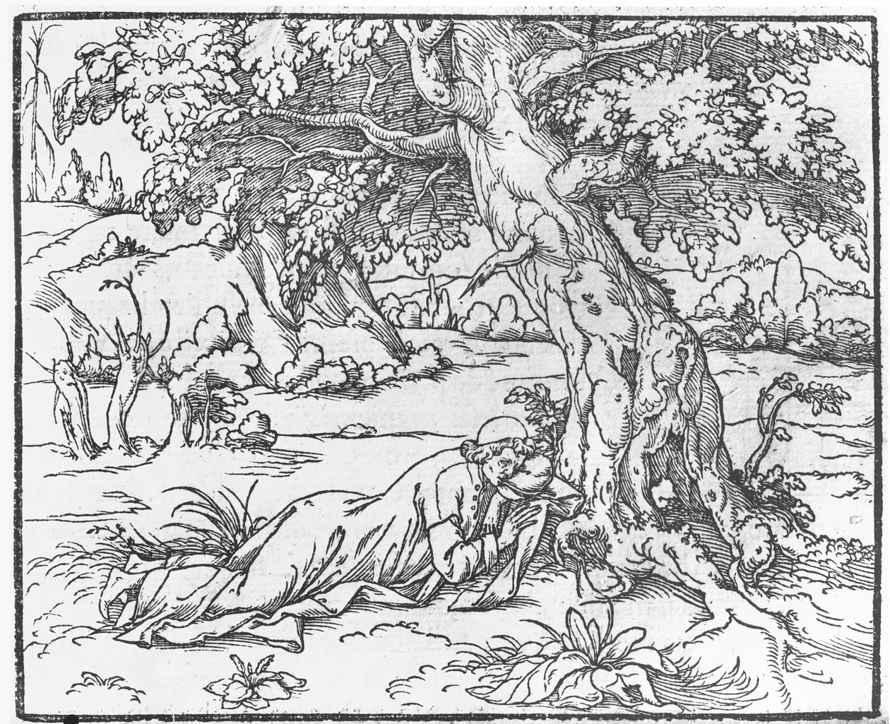 Página de Discours du Songe de Poliphile, por Francesco Colonna, 1546 de French School