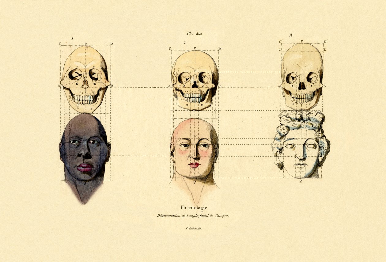 Frenología, 1833-39 de French School