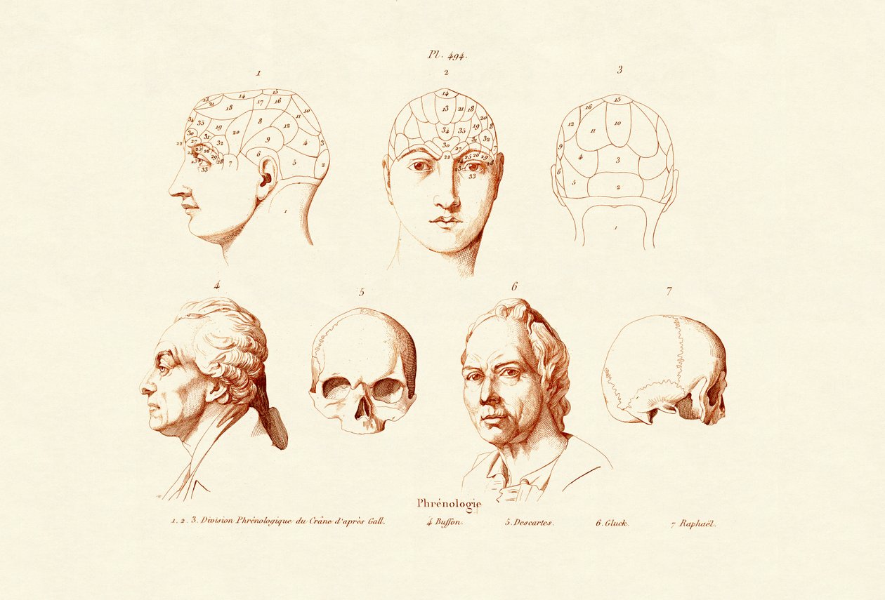 Frenología, 1833-39 de French School