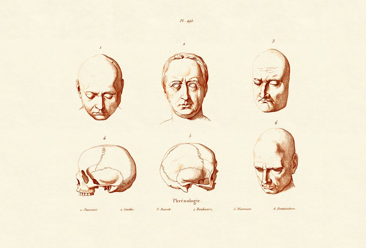 Frenología, 1833-39 de French School