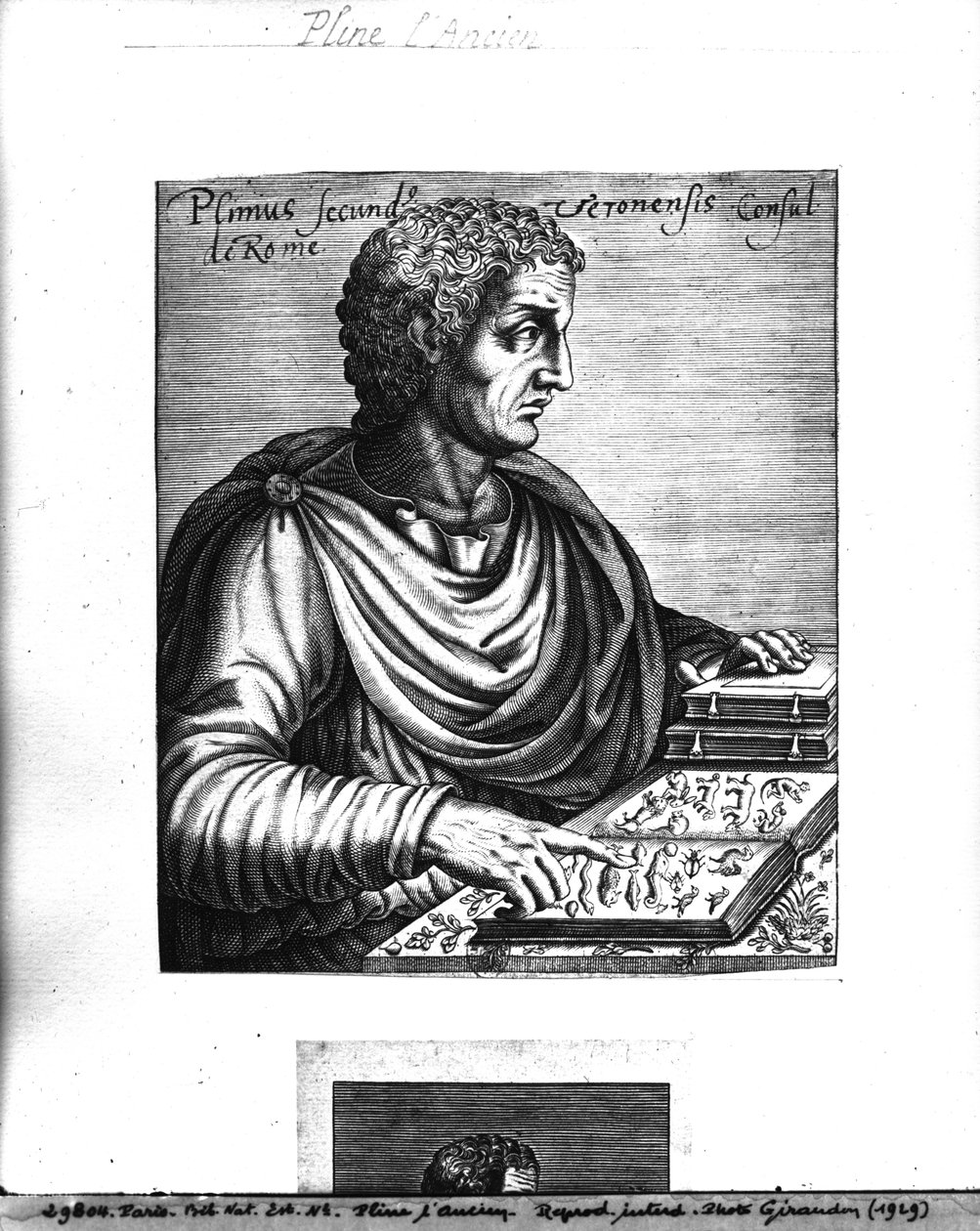 Plinio el Viejo (23-79 d.C.) de French School