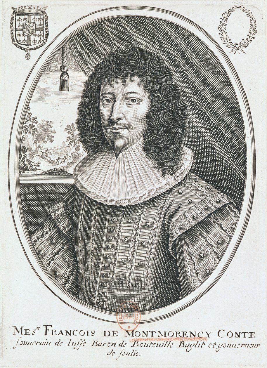 Retrato de François de Montmorency (1530-79) 1600-27 de French School