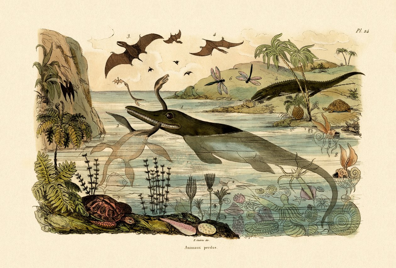 Animales prehistóricos, 1833-39 de French School