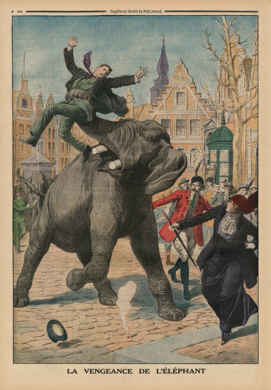 Venganza de un elefante, ilustración de la contraportada de 