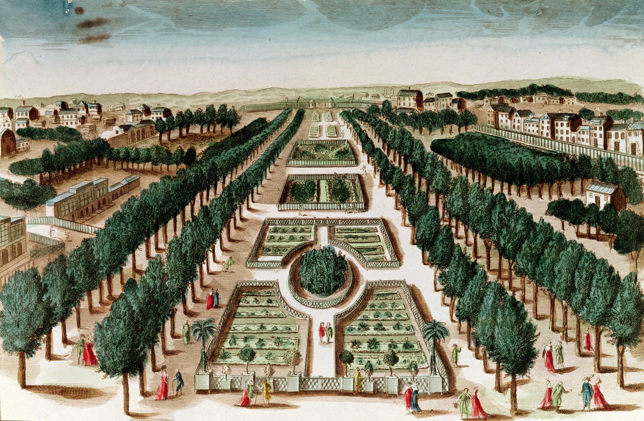 Vista del Jardín de Plantas desde el Gabinete de Historia Natural de French School
