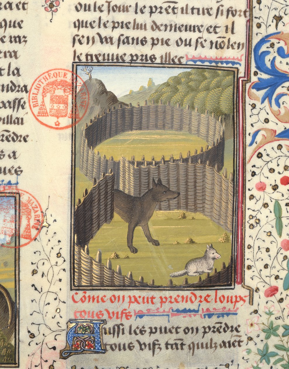 Lobo a punto de atacar a un cordero, del Livre de la Chasse de Gaston Phebus de Foix (1331-91) de French School
