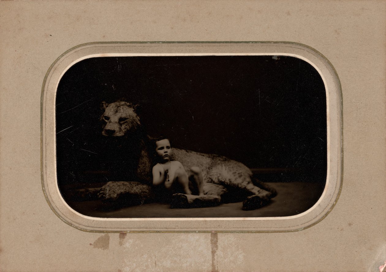 Retrato de un niño de French 19th Century