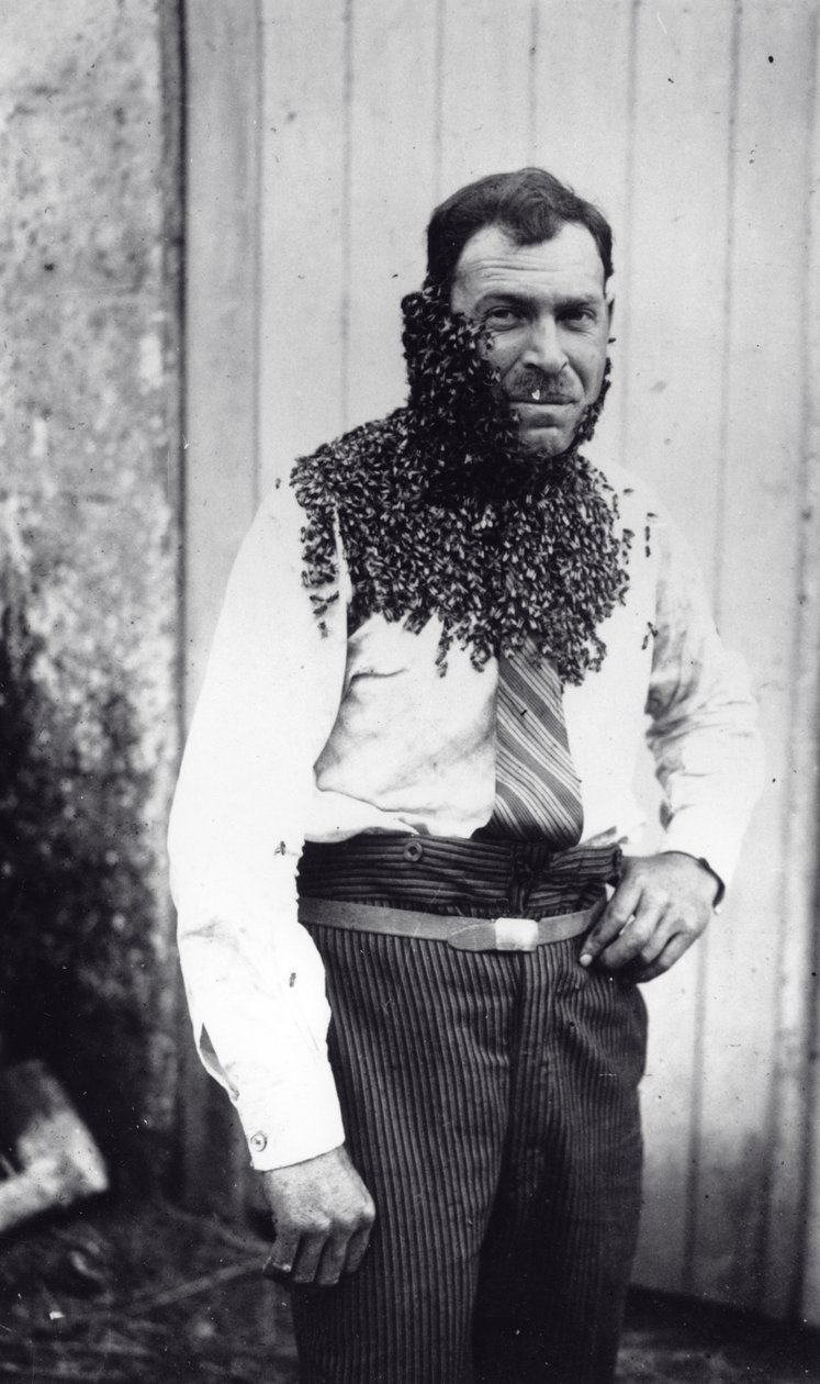 El apicultor Angel Peuchaud cubierto de abejas en Angouleme, Charentes, Francia de French Photographer