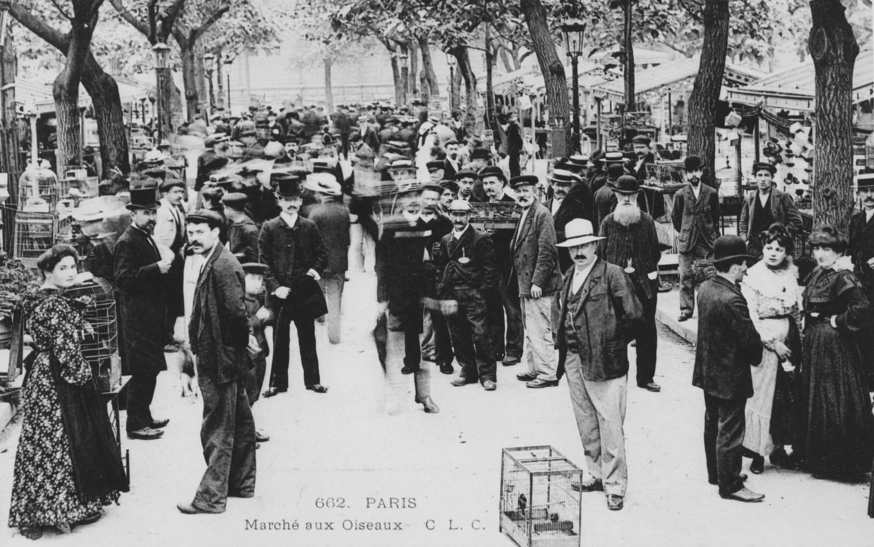 Mercado de pájaros, París de French Photographer