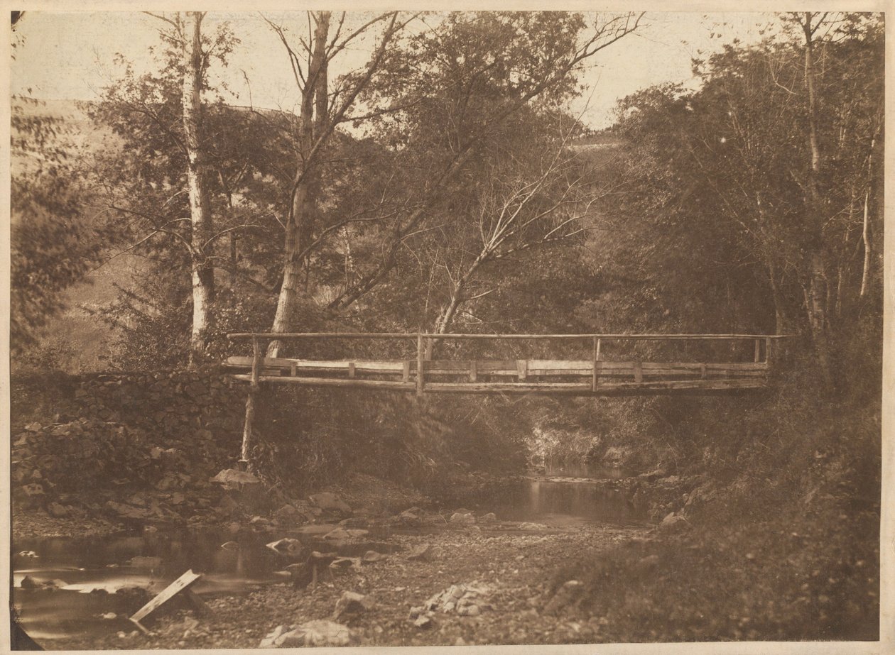 Paisaje con árboles y puente,c. 1850 (foto) de French Photographer