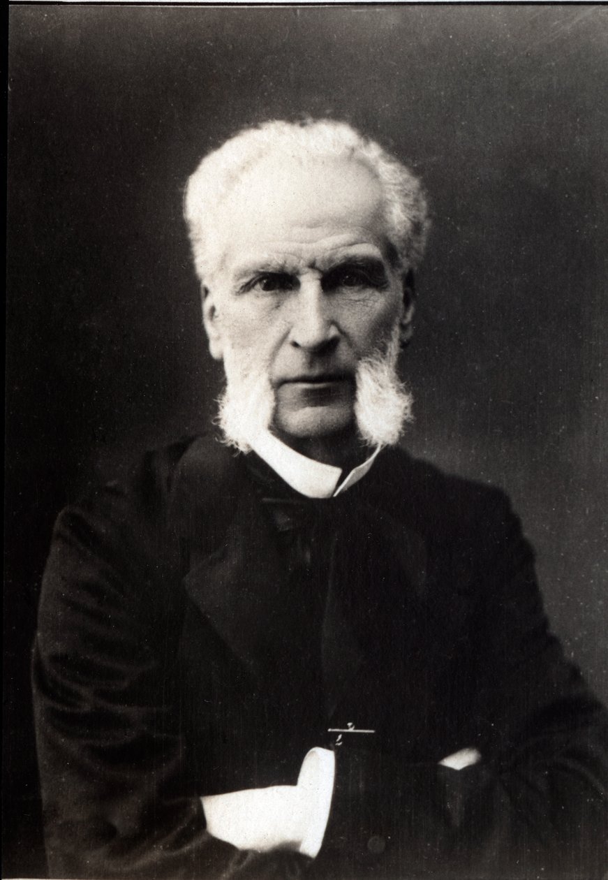 Retrato de Aime Joseph Edmond Rousse (1817-1906), abogado francés de French Photographer