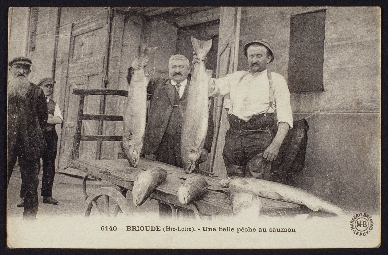 Postal que representa una buena pesca de salmones en Brioude, Haute-Loire, c.1900 de French Photographer