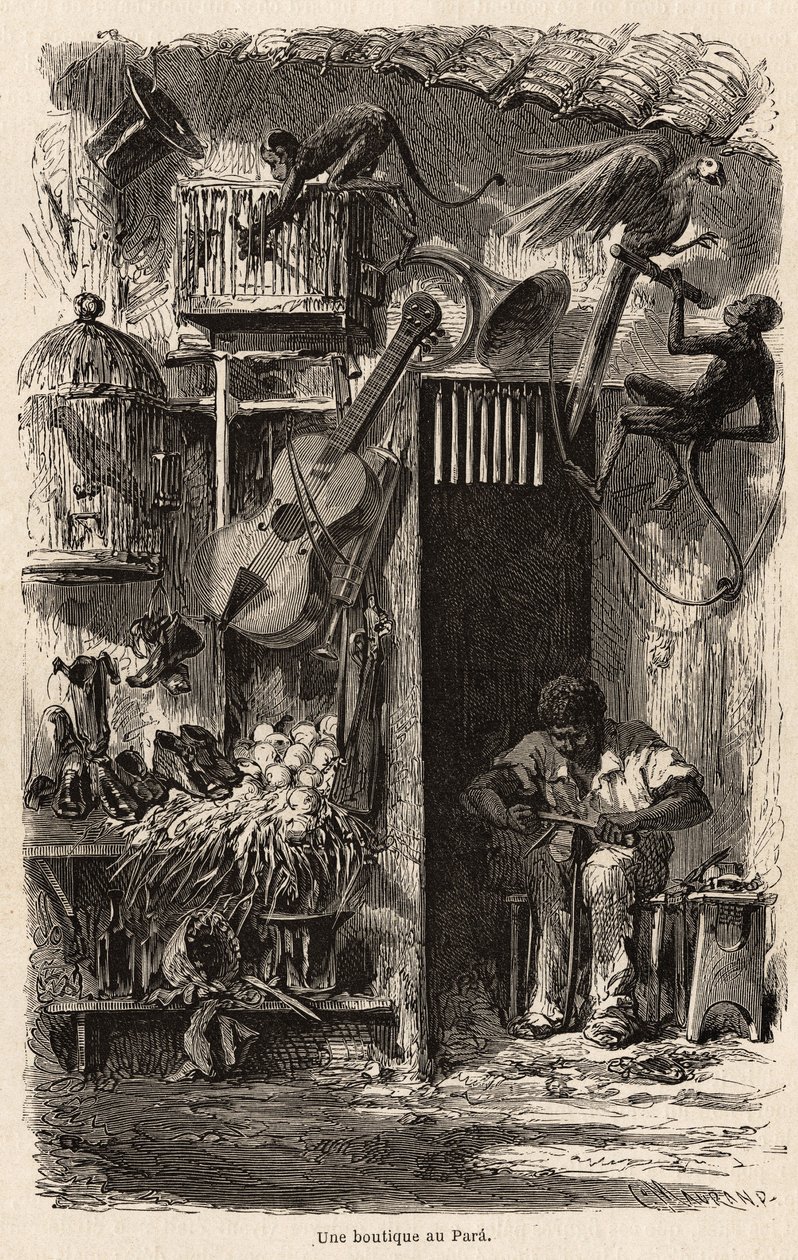 Una tienda en Pará, ilustración del viaje del Sr. Biard a Brasil en 1858-1859. Grabado en “Le tour du monde” 1861. Colección de Selva de French School