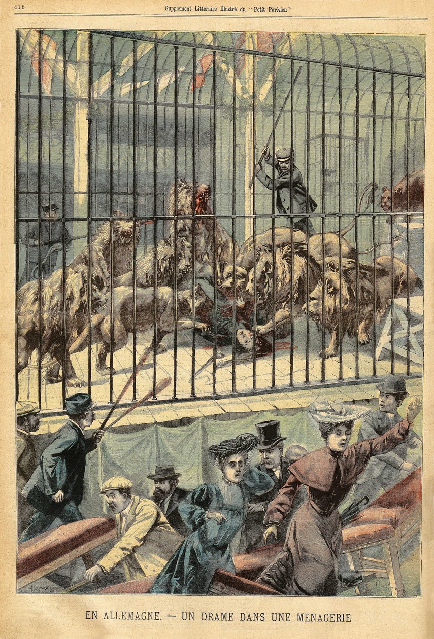 Una domadora es devorada por sus leones en una menagerie en Dessau, Alemania. Grabado en "Le Petite Parisien", el 27/12/1903. de French School