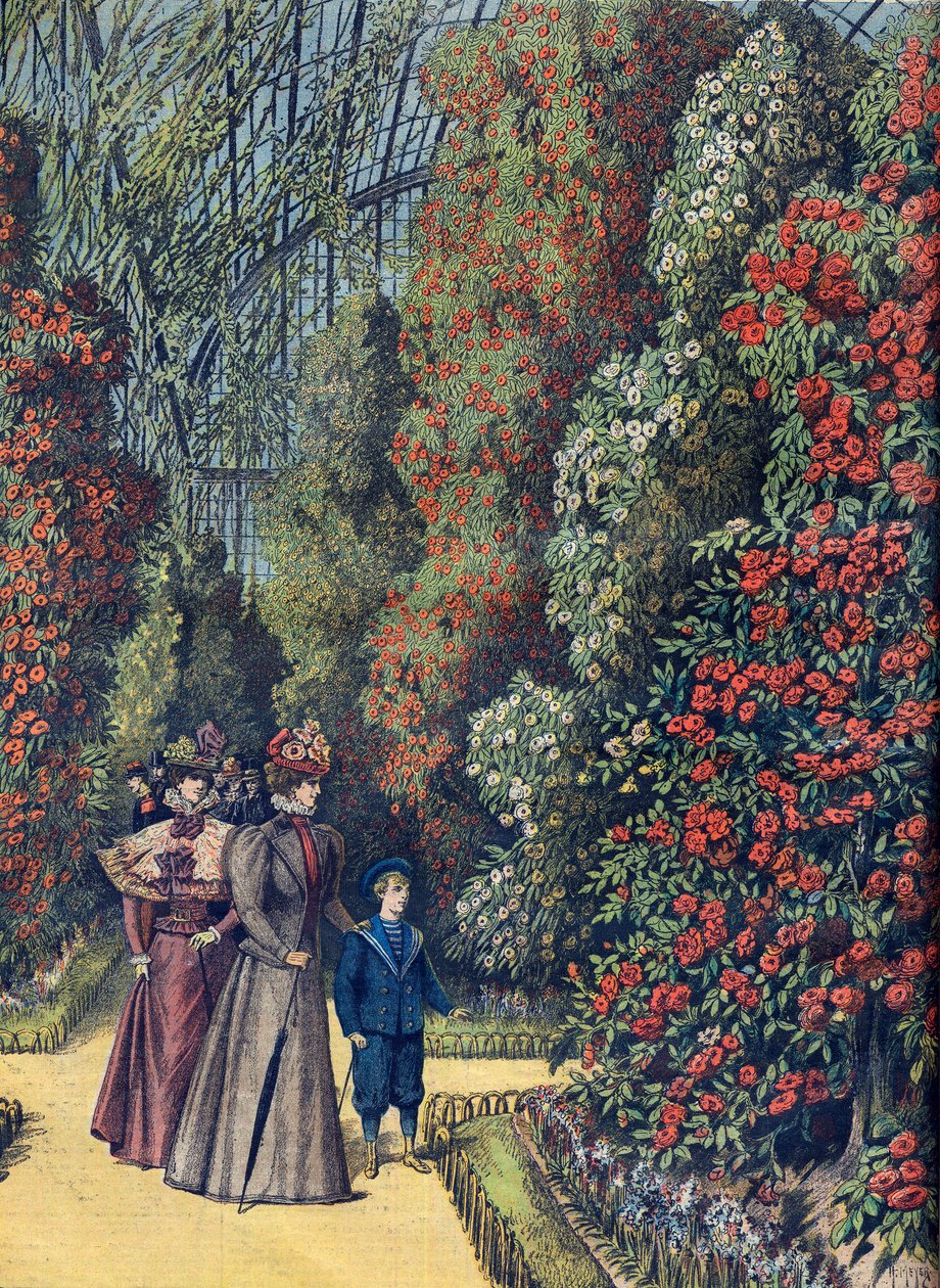 Jardín de aclimatación - la serre des camelias - Invernadero de camelias en un jardín botánico de French School