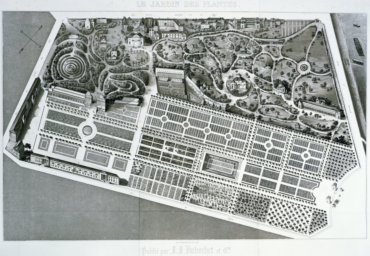 Vista aérea del plan del Jardin des Plantes en París, 1842 de French School