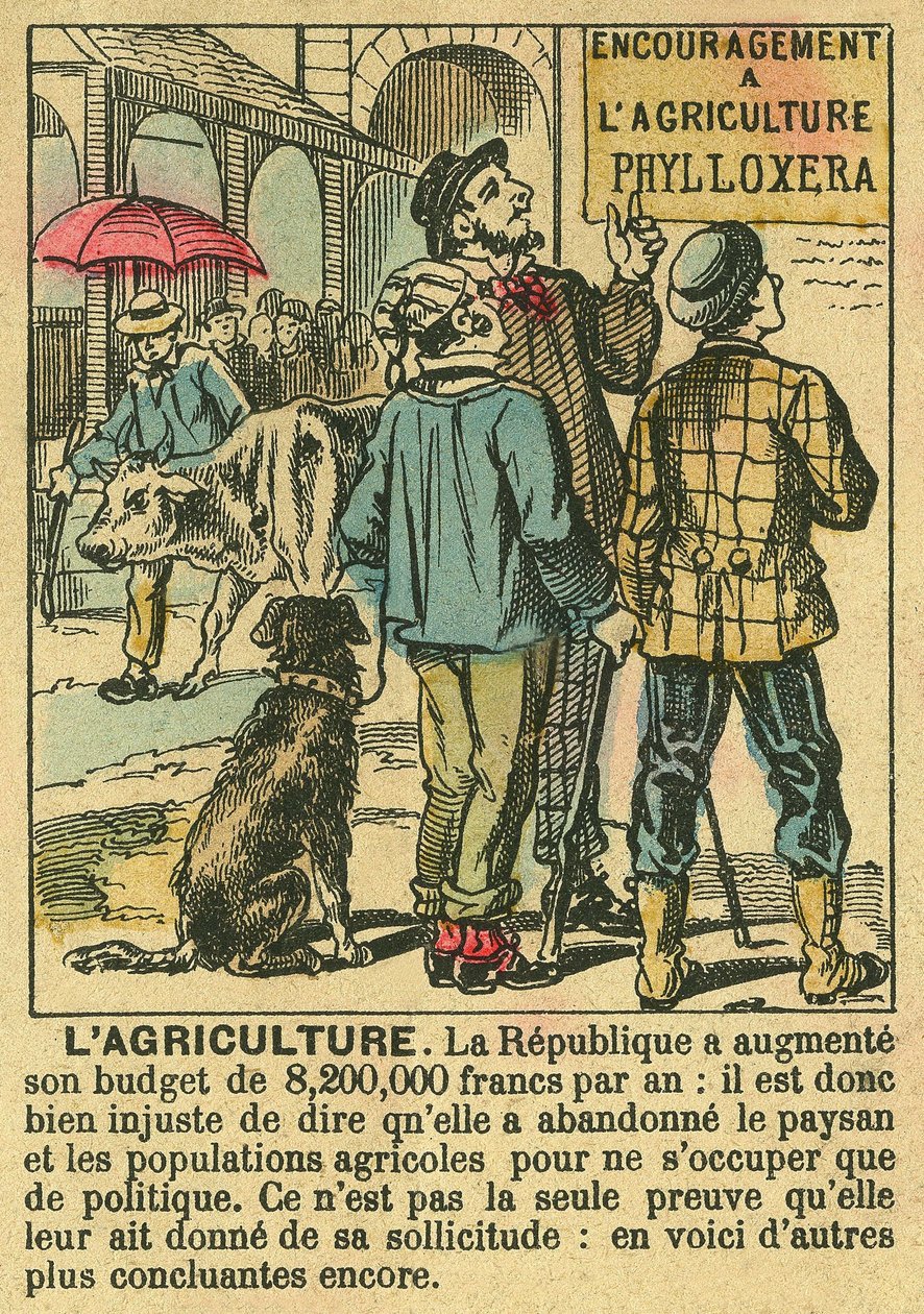 La Agricultura ilustra los beneficios de la Tercera República en la inversión agrícola y su preocupación por las poblaciones campesinas. Grabado, en "Le Figaro, suplemento", el 30/03/1889, París. Coll. Selva. de French School