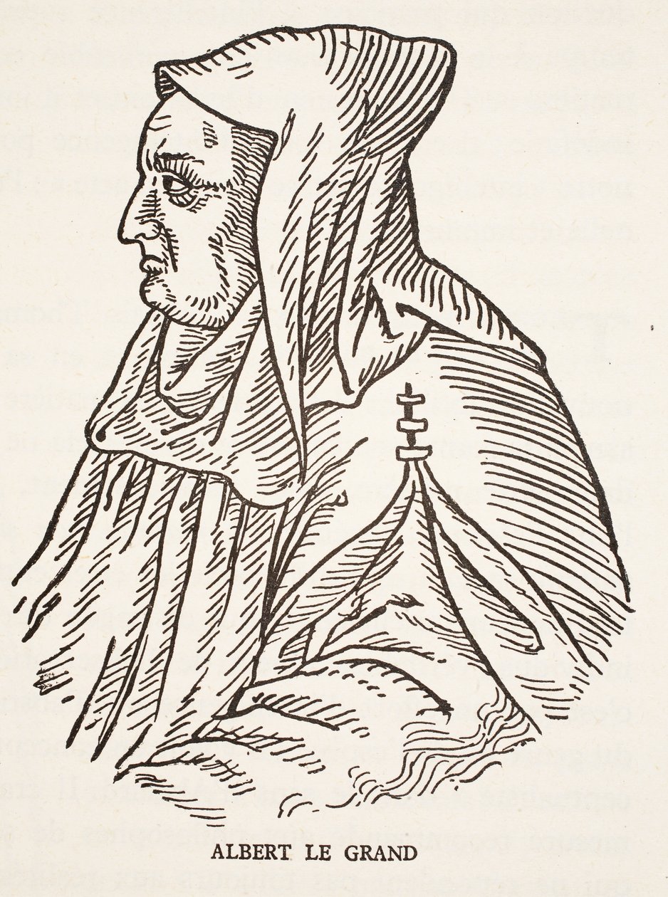 Alberto Magno de French School
