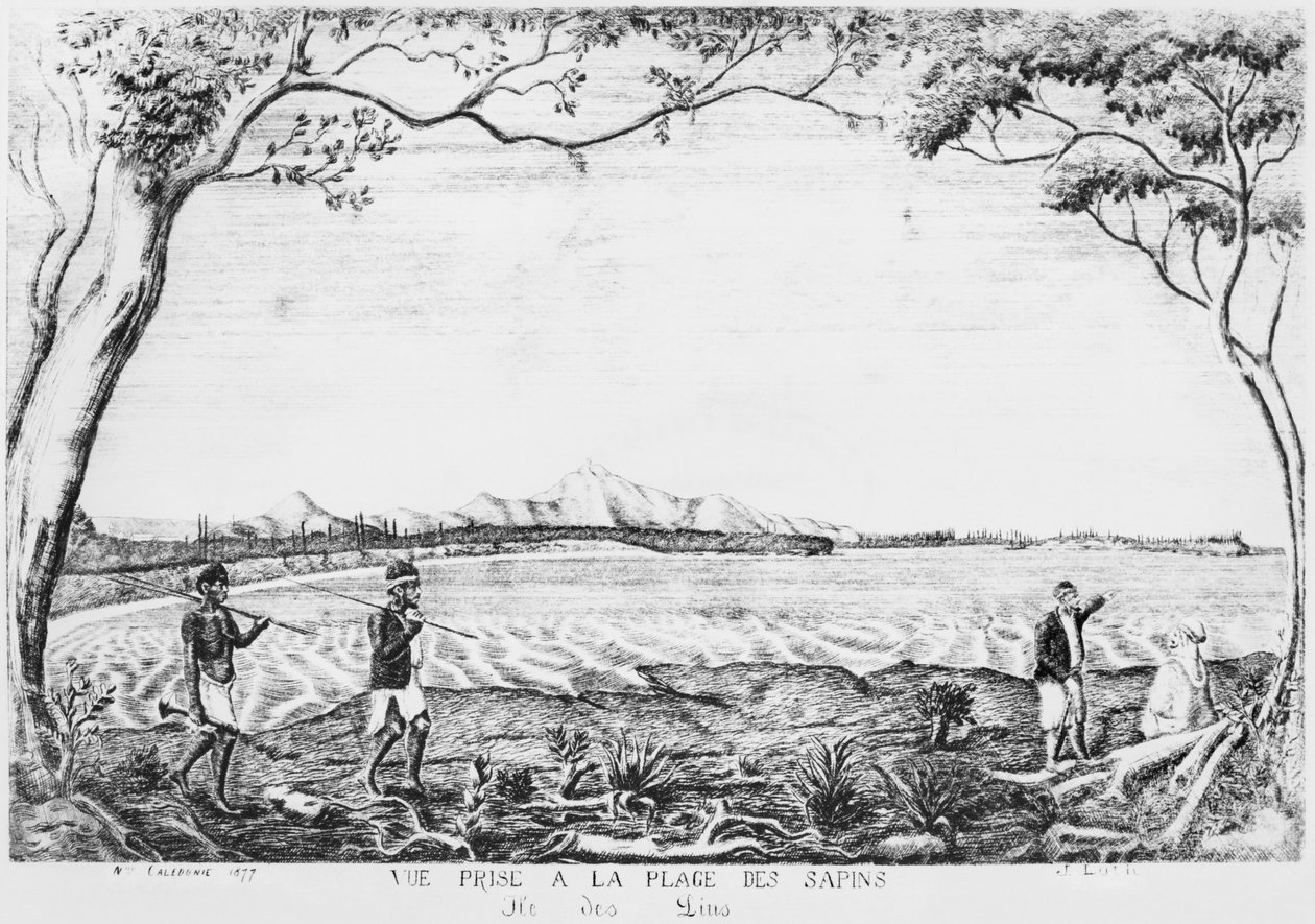 Álbum de la Isla de los Pinos, vista tomada desde la playa de los Pinos, 1877 de French School