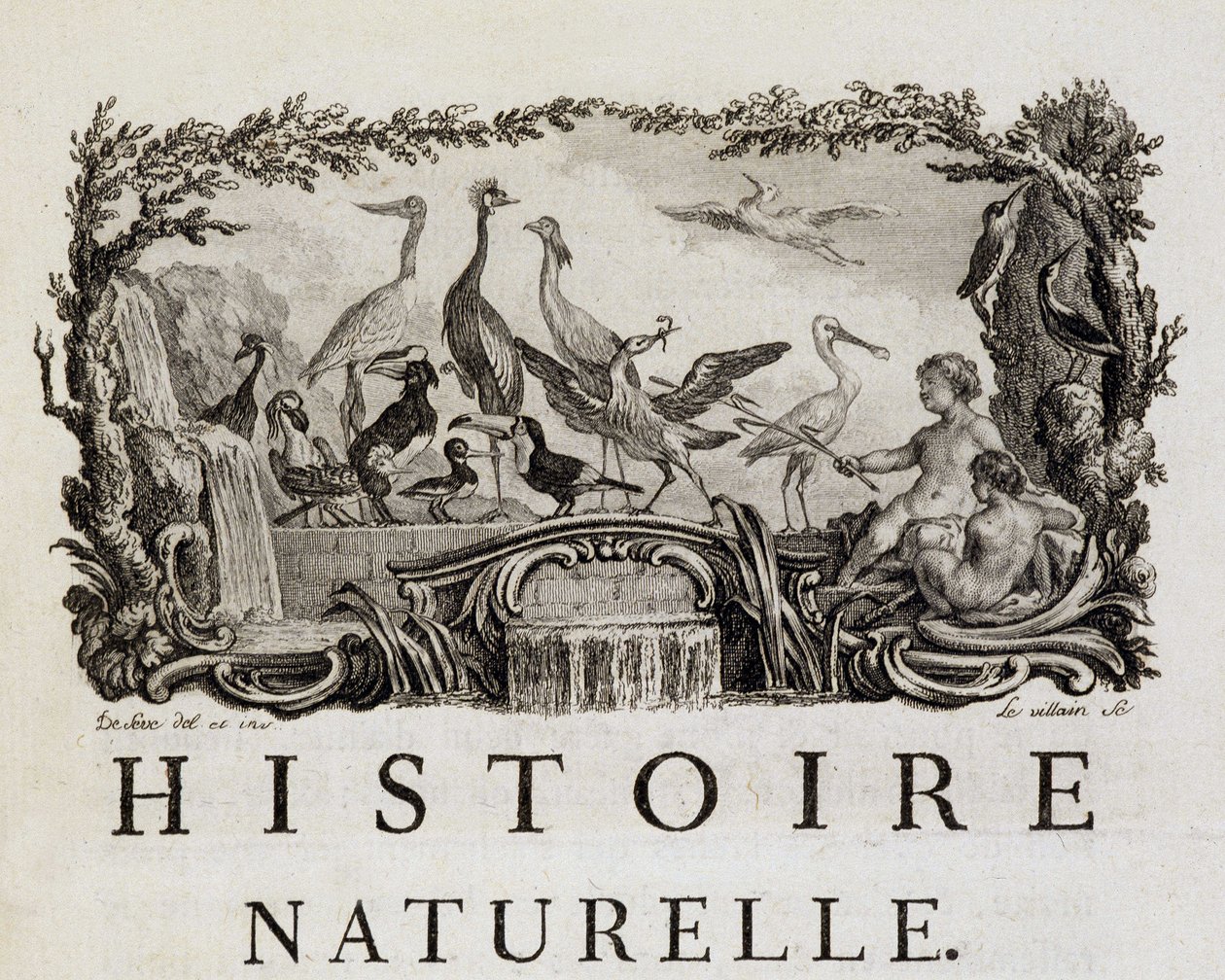 Alegoría de Historia natural sobre los pájaros - en “Histoire naturelle, générale et particulière” de Buffon de French School