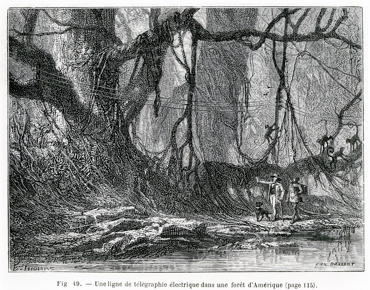 Una línea de telégrafo eléctrico en un bosque americano, c.1870 de French School