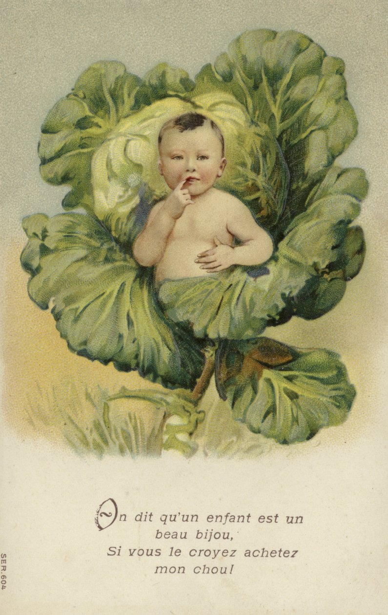 Bebé en un repollo (cromolito) de French School
