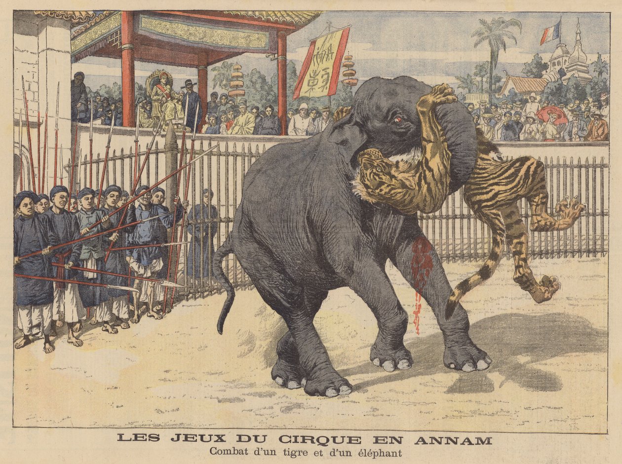 Batalla entre un elefante y un tigre en un circo en Annam, Indochina (litografía en color) de French School