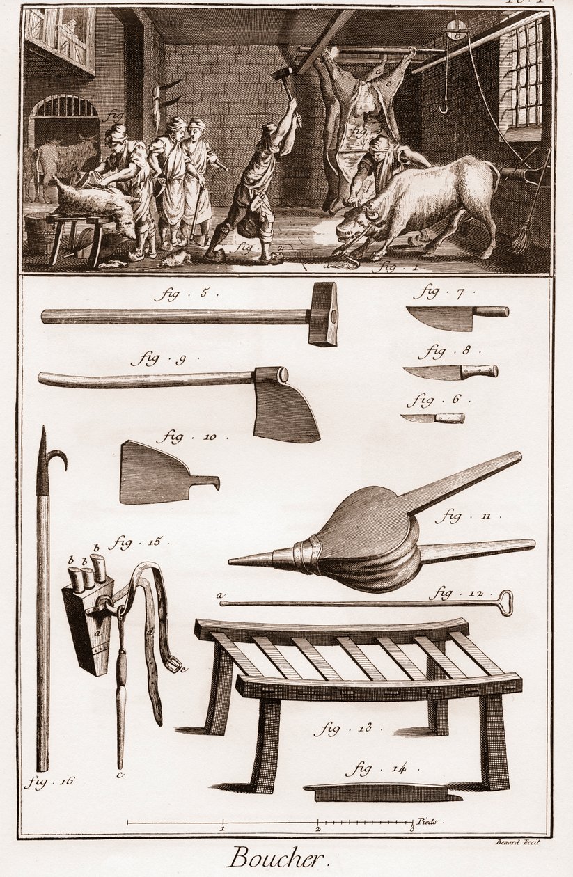 Carnicero - Carnicería - La Gran Enciclopedia, o Diccionario Razonado de las Ciencias, Artes y Oficios (Enciclopedia o Diccionario de las Ciencias, Artes y Profesiones) por Denis Diderot (1713-1784) y Jean d