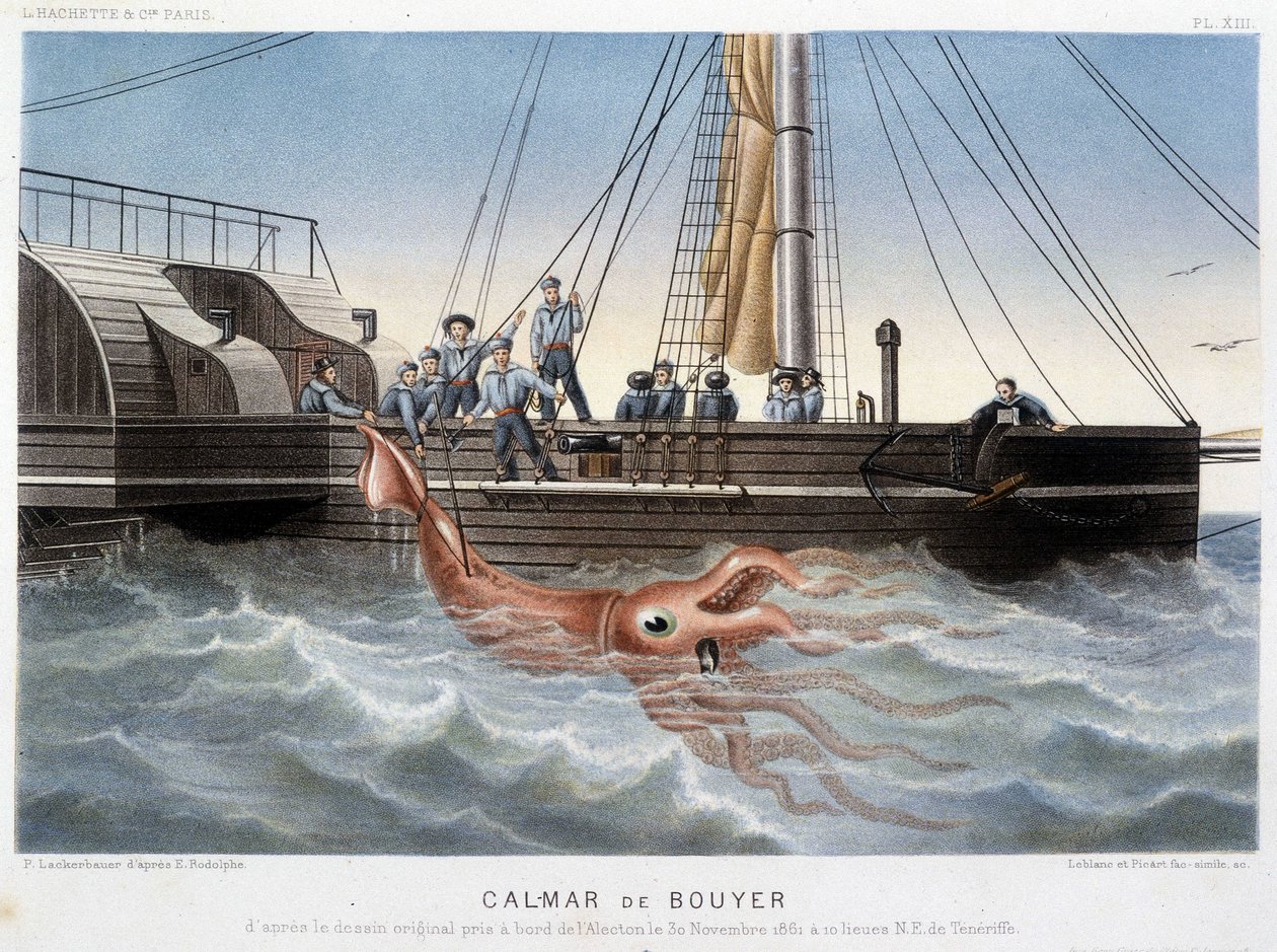 Calamar Bouyer - en “Le monde de la mer” de Alfred Fredol, Hachette, París de French School