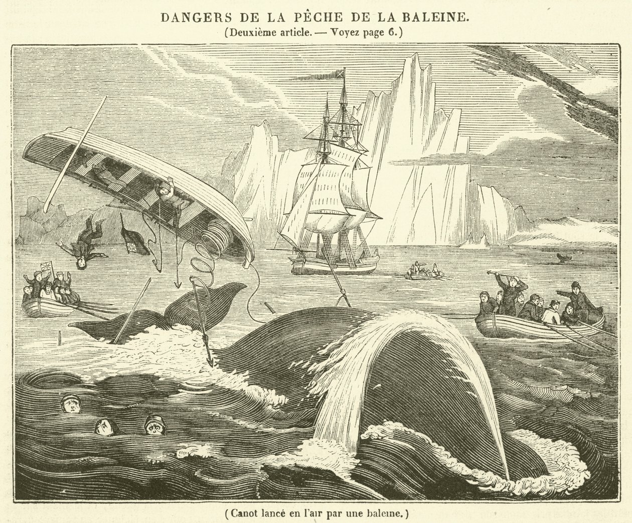 Canoa lanzada al aire por una ballena (grabado) de French School