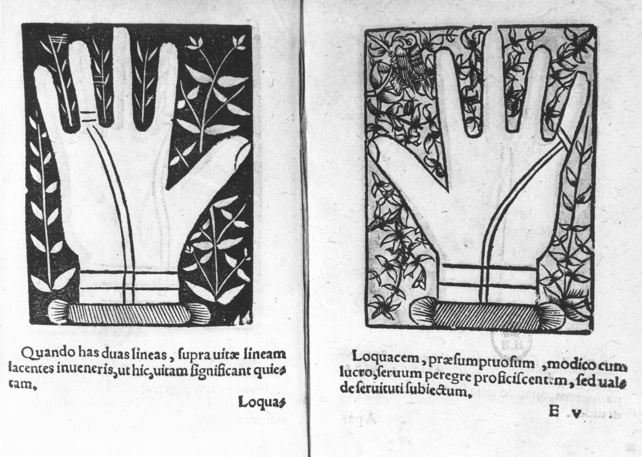 Manos quirománticas, ilustración de 