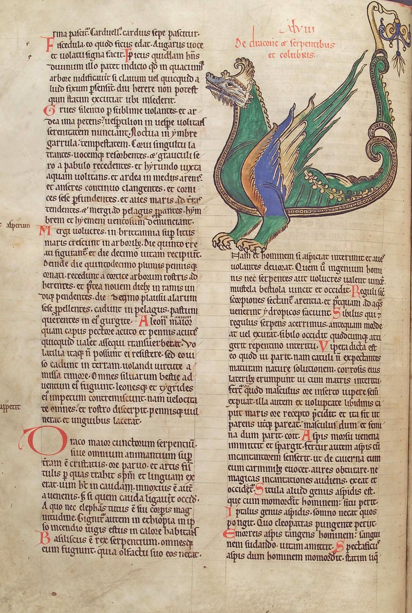 Texto con ilustración de un Dragón, del Liber Floridus de Lambert de Saint-Omer c.1120 de French School